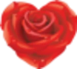 Logo of Rose Wallpapers android Application 