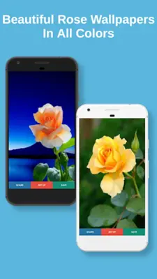 Rose Wallpapers android App screenshot 0