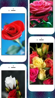 Rose Wallpapers android App screenshot 5