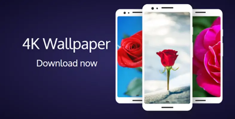 Rose Wallpapers android App screenshot 6